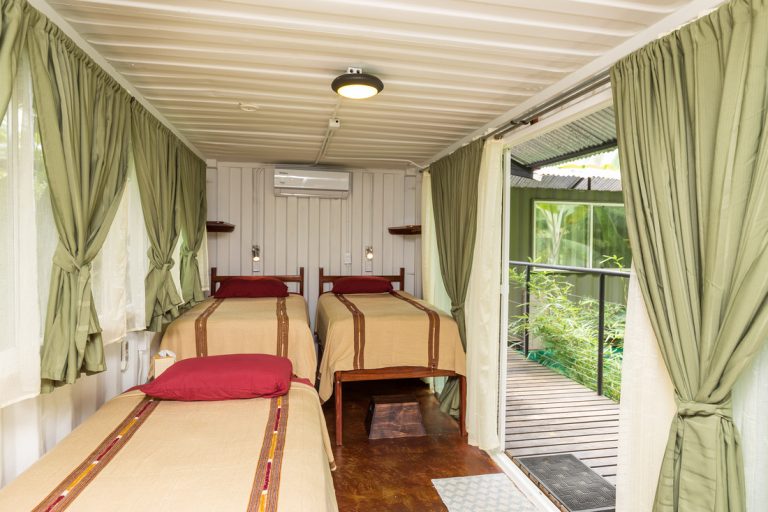 Shared Room