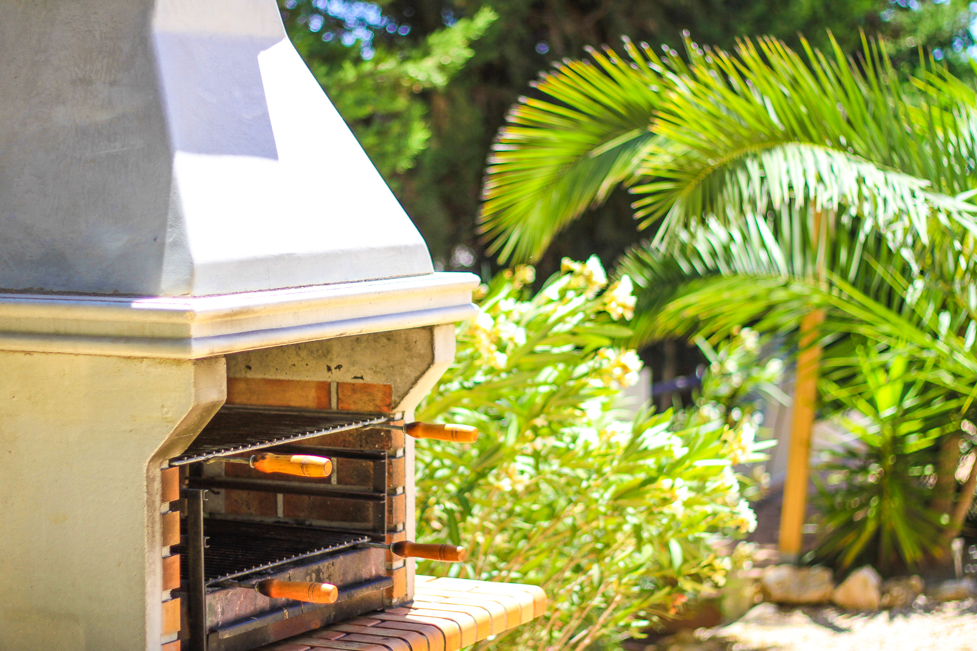 Wood Fired Pizza Oven