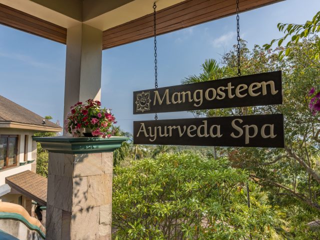 Ayurveda, Wellness, Yoga Retreats Phuket Thailand, vegetarian, vegan, organic healthy food and drinks at Mangosteen Ayurveda & Wellness Resort, Rawai, Phuket.