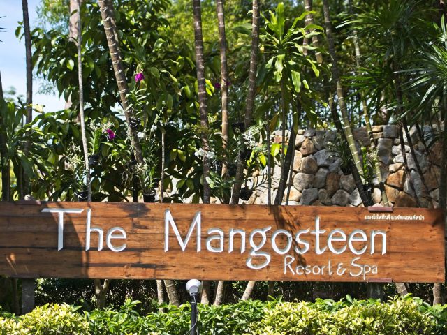 Ayurveda, Wellness and Yoga Retreats, Vegetarian, vegan, organic healthy food and drinks at Mangosteen Ayurveda & Wellness Resort, Rawai, Phuket.