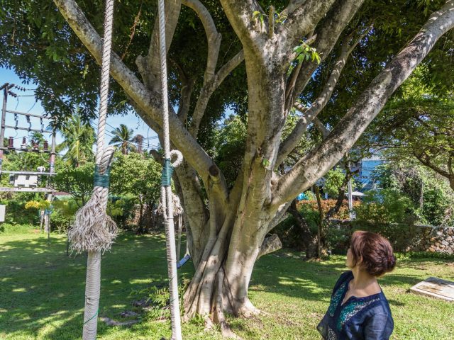 Ayurveda, Wellness and Yoga Retreats, Vegetarian, vegan, organic healthy food and drinks at Mangosteen Ayurveda & Wellness Resort, Rawai, Phuket.